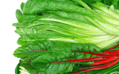 20 Vegetarian & Vegan Recipes with Leafy Greens