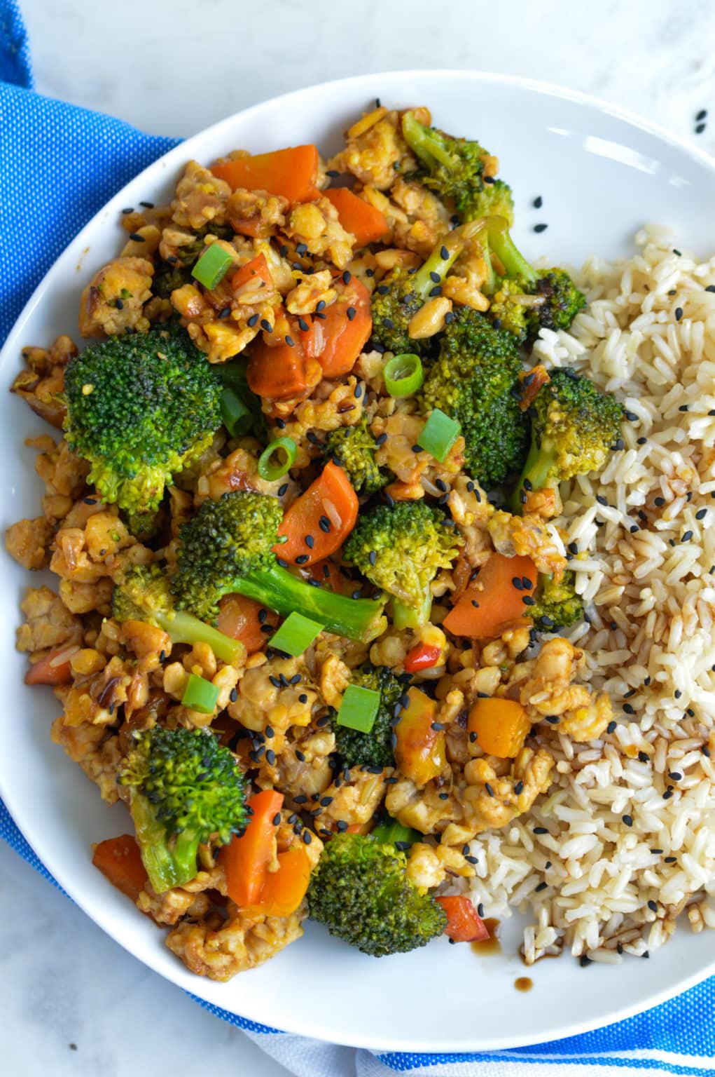 Vegan Tempeh Stir-Fry With Broccoli & Hoisin Sauce | Greenletes