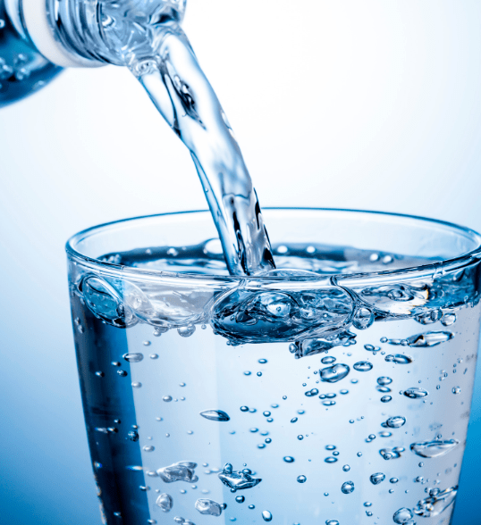면역 건강을 위한 물